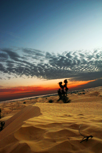 Dancing on the dunes
