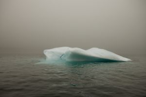 Melt #42