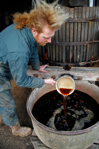 Examination of the apple juice