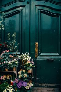flower shop