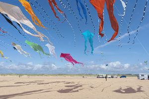 Fanø International kite fliers meeting 2022