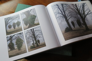 Limited edition Artist book with box available. Inquiries are welcome.