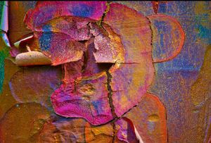 TORN PORTRAIT