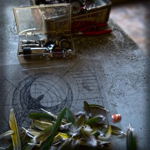 Vitruvian Bird © Amber Hall