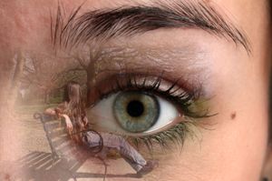 Through my eyes 6