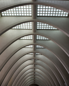 Liege Guillemins
