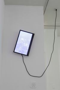 Stop and Frisk, 2015, Found Footage, HD Video, Sound, 16:17, Dimensions Variable