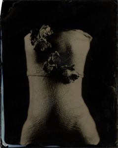 Figure #11