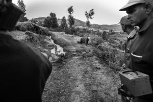 Human & Tiger Conflict