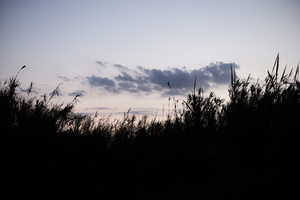 third morning #01