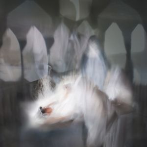 Resurrection Chamber