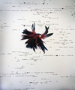 From the Series, Archetypal.  "A Once Great Bird."