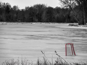 Empty Net