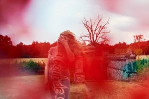 Artist, art and environment