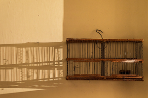From the "Fake Memories" series / Della serie "Ricordi Fasulli"