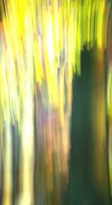 Steve Gentile - Gramercy Park Stained Glass daybreak