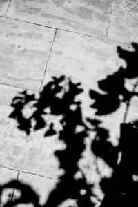© Yannick Ribeaut