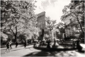 Rush Hour, Madison Square Park