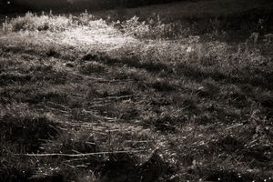 Fragments  #7