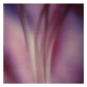 Twilight | The Secret Life of Plants XIII