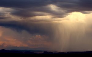 Needed Rain