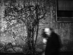 old couple | remembrance 4