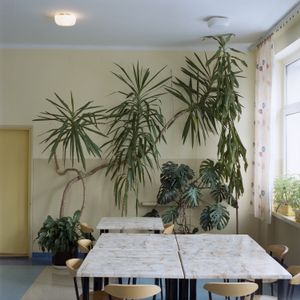 Remnants of hope