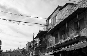 Birds on the wire