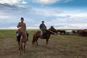 Nomad Herders