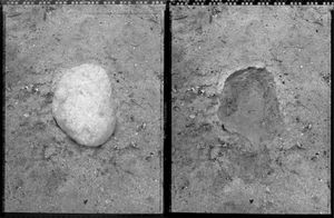 Roberto Raineri-Seith - Re / Exposing to light (1998) | LensCulture