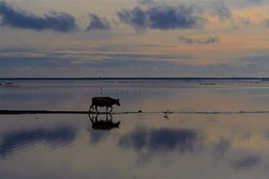 Blues, Greys and Sky (Jaffna, Sri Lanka)