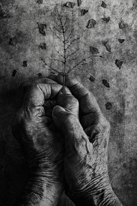 What's left