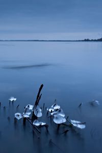 ice