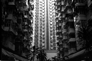 "Hong Kong"