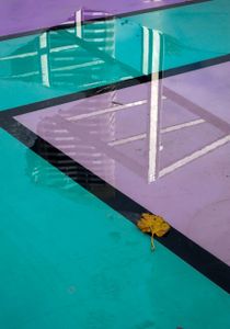 rain and leaf