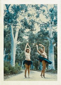 Bush fairies