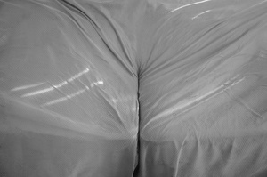 Cushion