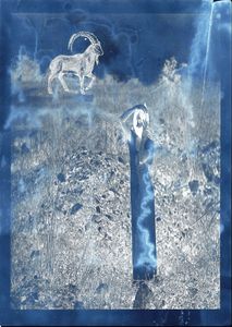 Rhetoric of An Image
