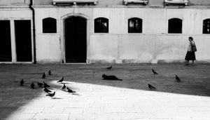 Pigeons, cat, and old woman.