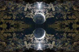 Parallel Universes#5