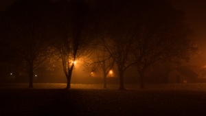 On a foggy night #2