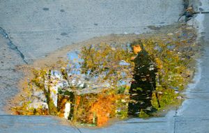 Walking in a wet autumn