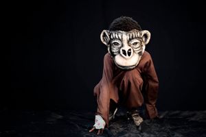 Monkey