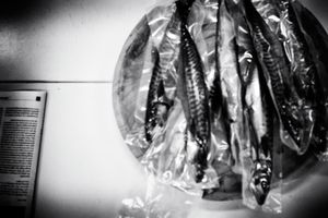 Sealed