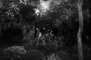 "Lai Chi Kok Park"