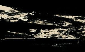 Metamorphosis 55