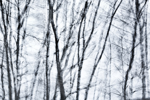 Snow #D78487