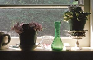 Kitchen Window.