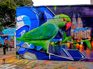 "ON GREEN PARROT STREET"