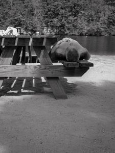 Untitled, Deep River, CT, 9 3 22
